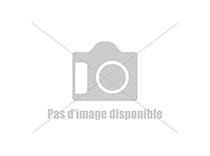 VERNIS BRILLANT/VERNIS MAT